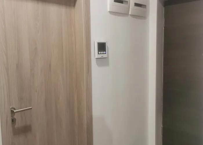 Beli Mélygarázzsal
